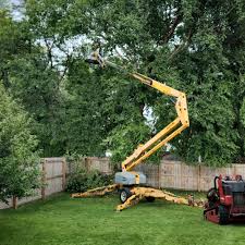 Best Lawn Fertilization  in Palestine, IL